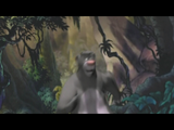 [Disney's The Jungle Book Key Stage 1 - скриншот №5]