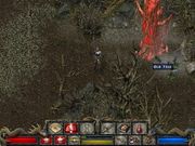 Divine Divinity
