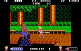 [Double Dragon - скриншот №14]