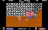 [Double Dragon - скриншот №20]