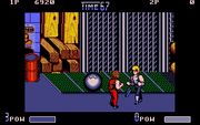 Double Dragon II: The Revenge