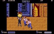 Double Dragon II: The Revenge