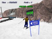 Downhill Slalom