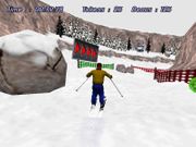 Downhill Slalom