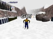 Downhill Slalom