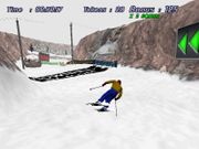 Downhill Slalom