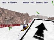 Downhill Slalom