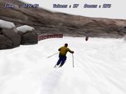 Downhill Slalom