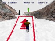 Downhill Slalom
