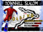 Downhill Slalom
