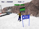 [Downhill Slalom - скриншот №16]