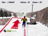 [Downhill Slalom - скриншот №17]