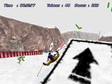 [Скриншот: Downhill Slalom]