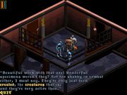 Druid: Daemons of the Mind