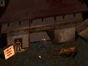 Druid: Daemons of the Mind