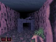 Duke Caribbean: Life's a Beach