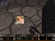 Duke Nukem's Penthouse Paradise