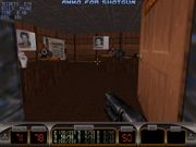 Duke Nukem's Penthouse Paradise