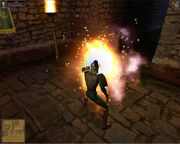 Dungeon Lords