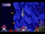 Ecco the Dolphin