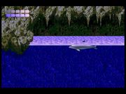 Ecco the Dolphin
