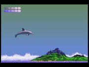 Ecco the Dolphin