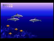 Ecco the Dolphin