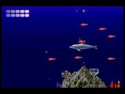 Ecco the Dolphin