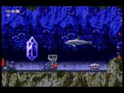 Ecco the Dolphin
