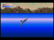 Ecco the Dolphin