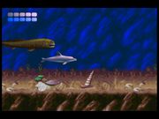 Ecco the Dolphin