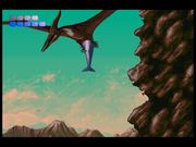 Ecco the Dolphin