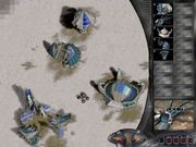 Echelon: Explore, Discover and Eliminate