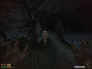 The Elder Scrolls III: Bloodmoon