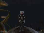 The Elder Scrolls III: Bloodmoon