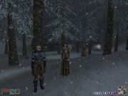 The Elder Scrolls III: Bloodmoon