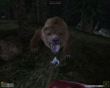 [The Elder Scrolls III: Bloodmoon - скриншот №79]