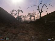 The Elder Scrolls III: Morrowind