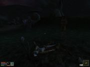 The Elder Scrolls III: Morrowind