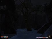 The Elder Scrolls III: Morrowind