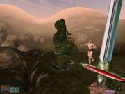 The Elder Scrolls III: Morrowind