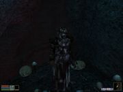 The Elder Scrolls III: Morrowind