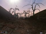 [The Elder Scrolls III: Morrowind - скриншот №27]