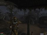 [The Elder Scrolls III: Morrowind - скриншот №41]