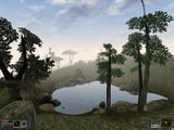 [The Elder Scrolls III: Morrowind - скриншот №43]