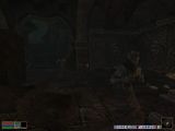 [The Elder Scrolls III: Morrowind - скриншот №62]
