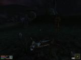 [The Elder Scrolls III: Morrowind - скриншот №67]