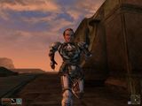 [The Elder Scrolls III: Morrowind - скриншот №73]