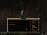 [The Elder Scrolls III: Morrowind - скриншот №75]