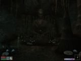 [The Elder Scrolls III: Morrowind - скриншот №78]